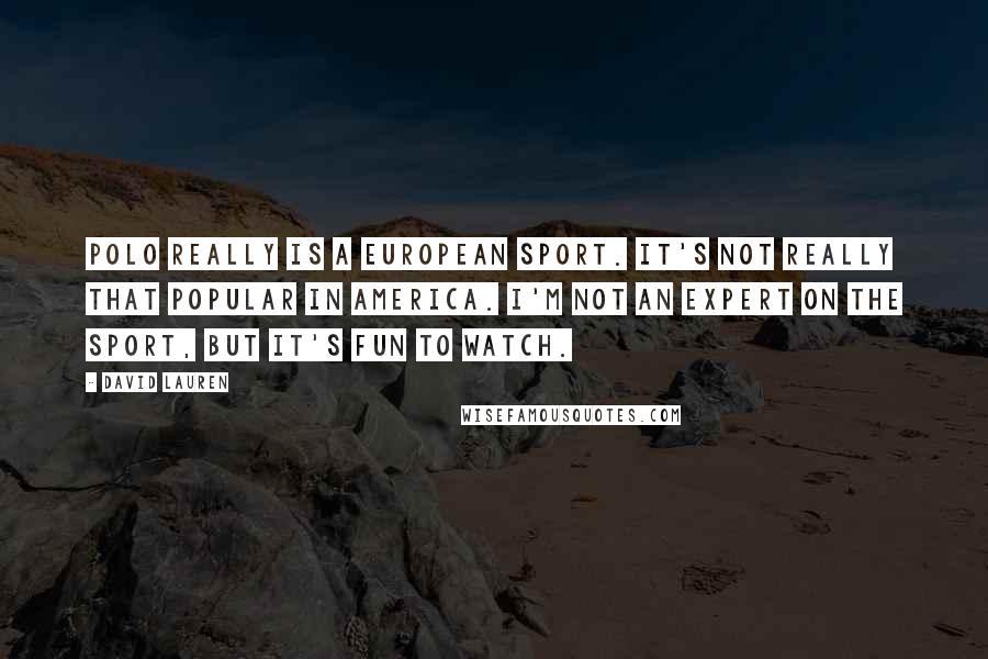 David Lauren Quotes: Polo really is a European sport. It's not really that popular in America. I'm not an expert on the sport, but it's fun to watch.