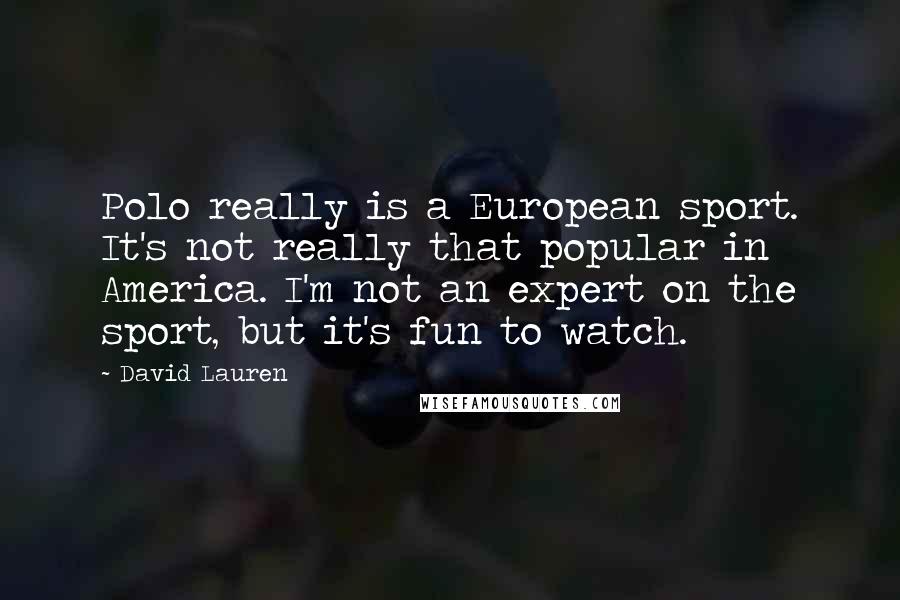 David Lauren Quotes: Polo really is a European sport. It's not really that popular in America. I'm not an expert on the sport, but it's fun to watch.