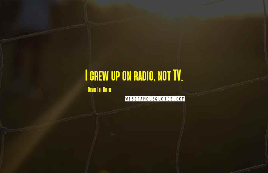 David Lee Roth Quotes: I grew up on radio, not TV.