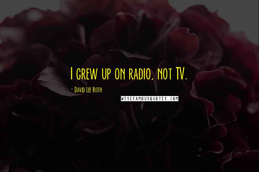 David Lee Roth Quotes: I grew up on radio, not TV.