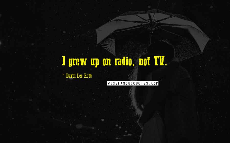 David Lee Roth Quotes: I grew up on radio, not TV.