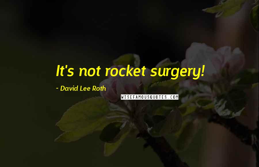 David Lee Roth Quotes: It's not rocket surgery!