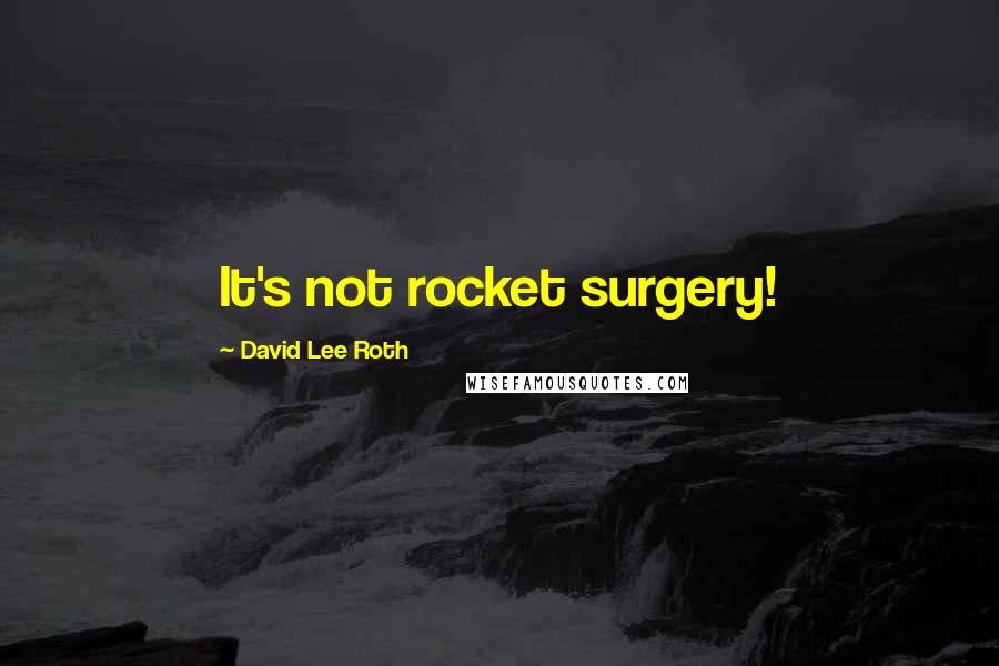 David Lee Roth Quotes: It's not rocket surgery!