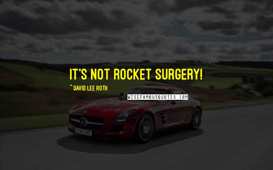 David Lee Roth Quotes: It's not rocket surgery!