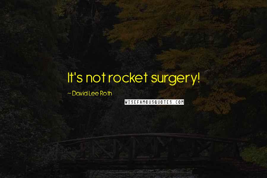 David Lee Roth Quotes: It's not rocket surgery!