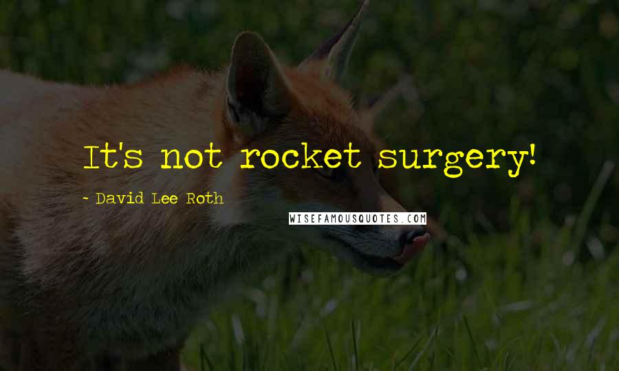 David Lee Roth Quotes: It's not rocket surgery!