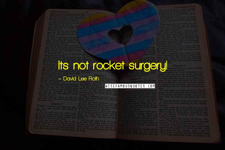 David Lee Roth Quotes: It's not rocket surgery!