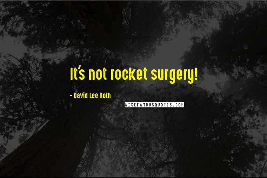 David Lee Roth Quotes: It's not rocket surgery!