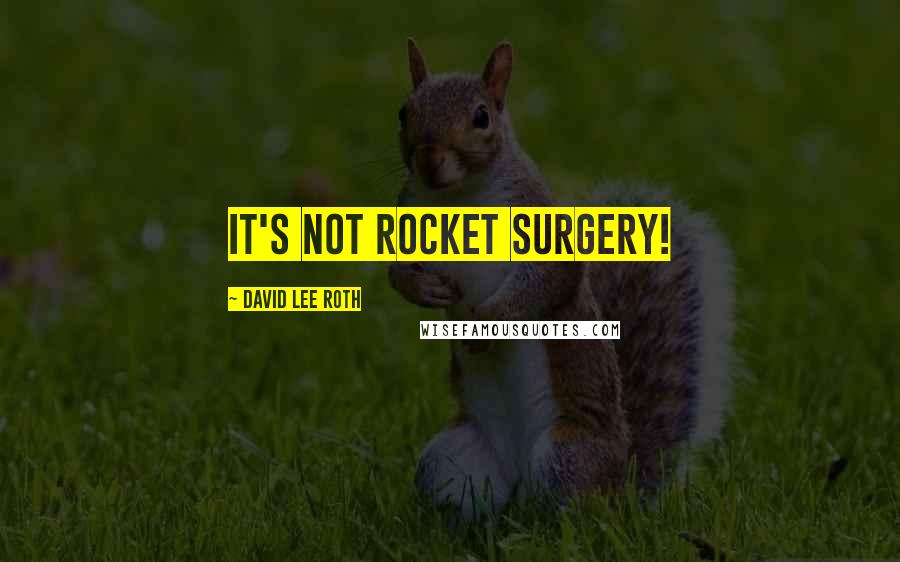 David Lee Roth Quotes: It's not rocket surgery!