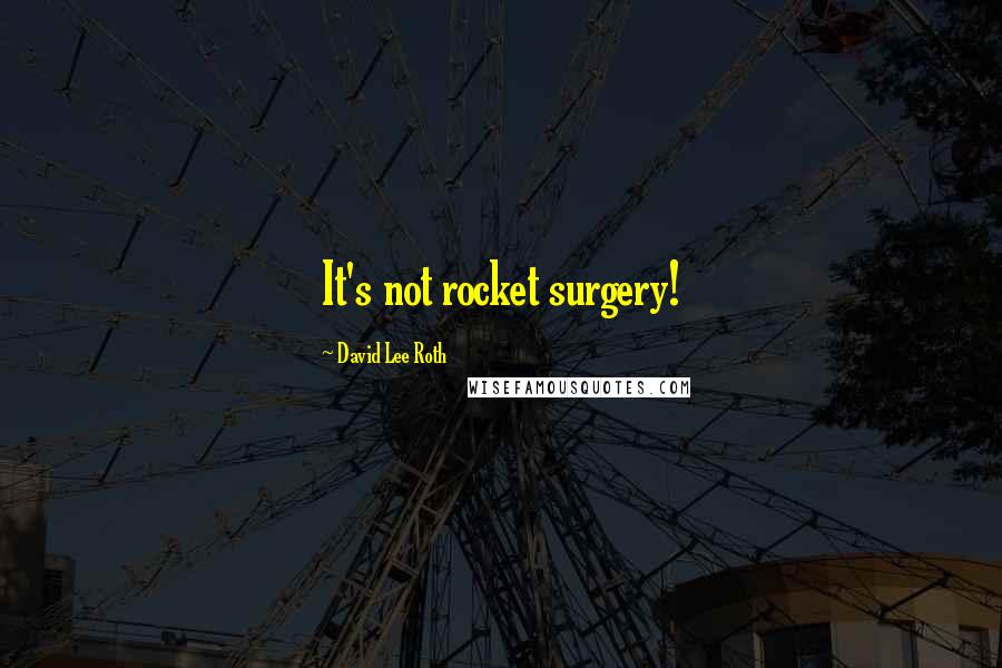 David Lee Roth Quotes: It's not rocket surgery!