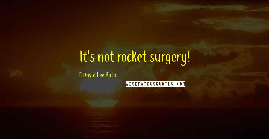 David Lee Roth Quotes: It's not rocket surgery!