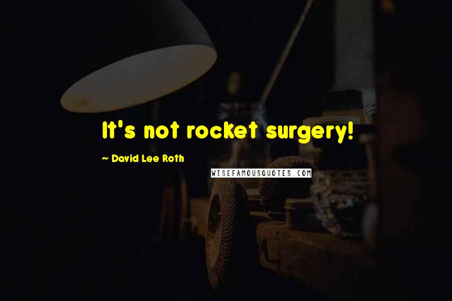 David Lee Roth Quotes: It's not rocket surgery!