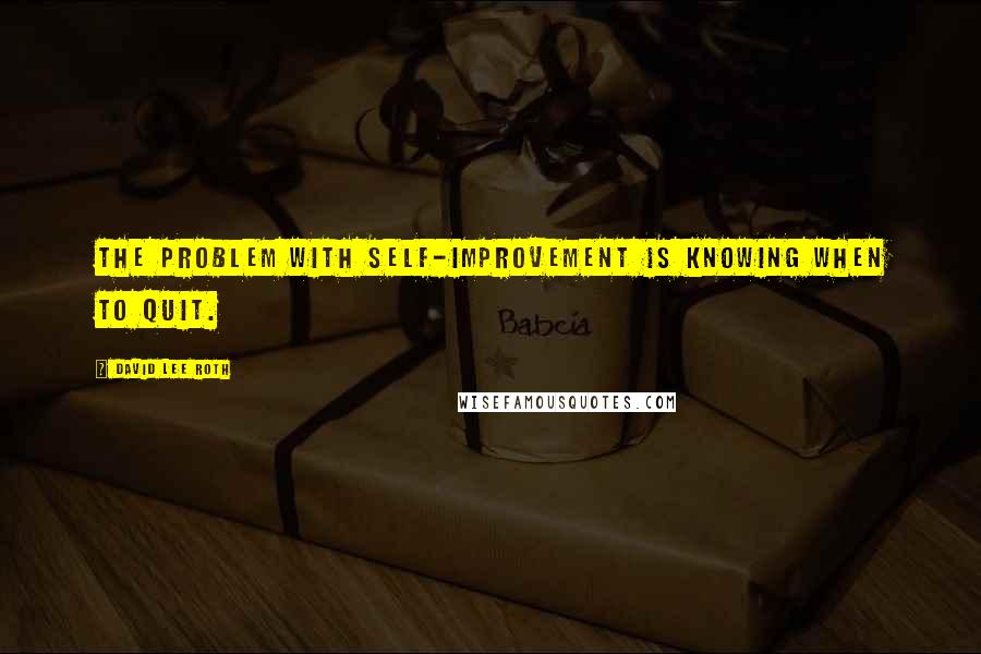 David Lee Roth Quotes: The problem with self-improvement is knowing when to quit.