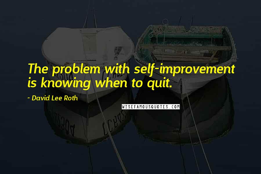 David Lee Roth Quotes: The problem with self-improvement is knowing when to quit.