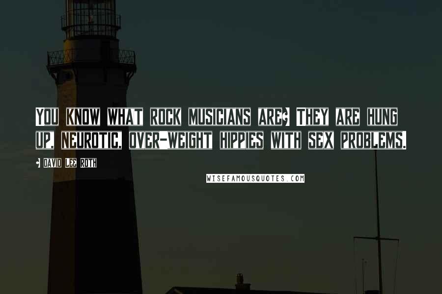 David Lee Roth Quotes: You know what rock musicians are? They are hung up, neurotic, over-weight hippies with sex problems.