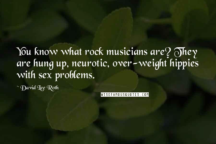 David Lee Roth Quotes: You know what rock musicians are? They are hung up, neurotic, over-weight hippies with sex problems.