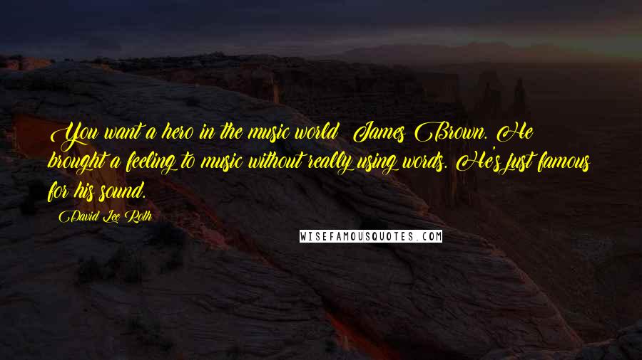 David Lee Roth Quotes: You want a hero in the music world? James Brown. He brought a feeling to music without really using words. He's just famous for his sound.