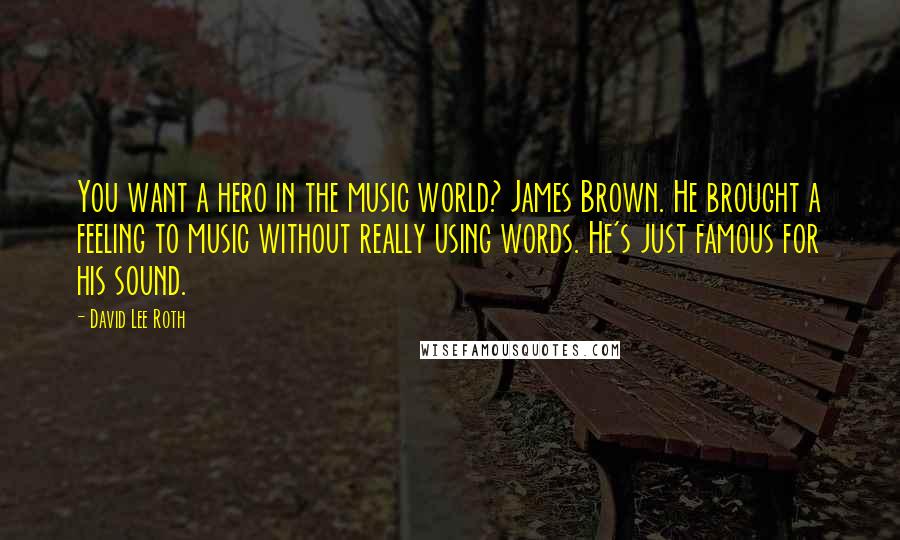 David Lee Roth Quotes: You want a hero in the music world? James Brown. He brought a feeling to music without really using words. He's just famous for his sound.