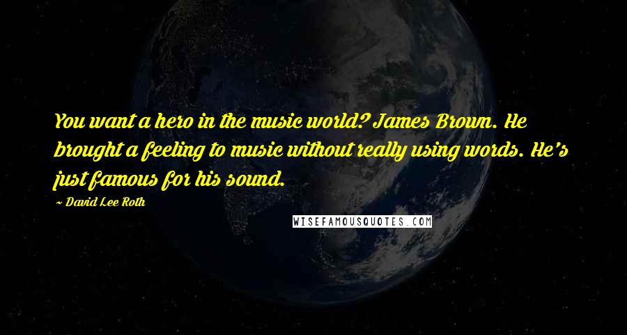 David Lee Roth Quotes: You want a hero in the music world? James Brown. He brought a feeling to music without really using words. He's just famous for his sound.