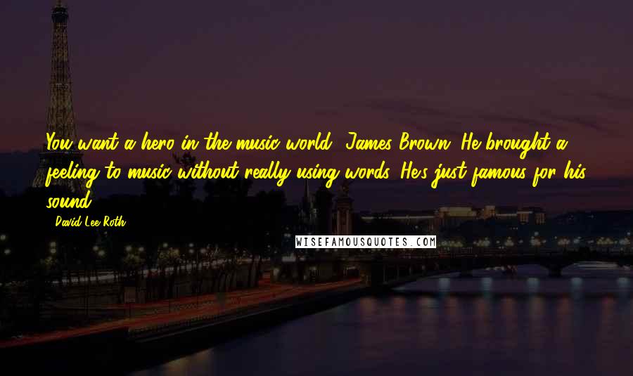 David Lee Roth Quotes: You want a hero in the music world? James Brown. He brought a feeling to music without really using words. He's just famous for his sound.