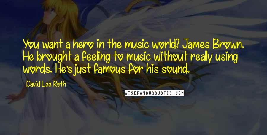 David Lee Roth Quotes: You want a hero in the music world? James Brown. He brought a feeling to music without really using words. He's just famous for his sound.