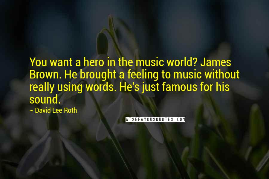 David Lee Roth Quotes: You want a hero in the music world? James Brown. He brought a feeling to music without really using words. He's just famous for his sound.