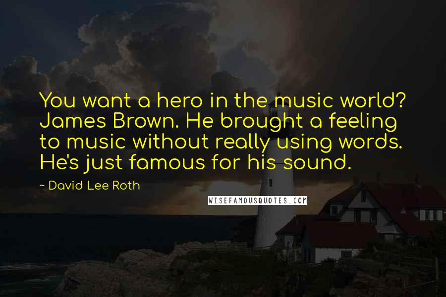 David Lee Roth Quotes: You want a hero in the music world? James Brown. He brought a feeling to music without really using words. He's just famous for his sound.