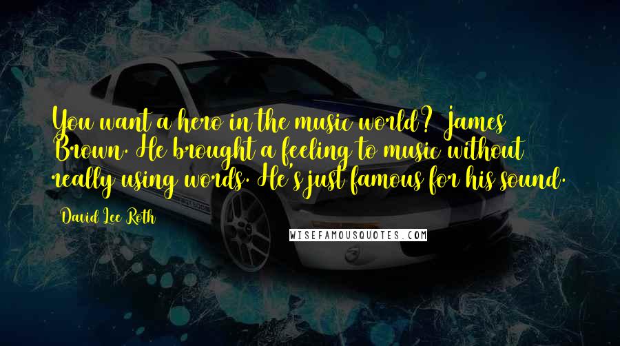 David Lee Roth Quotes: You want a hero in the music world? James Brown. He brought a feeling to music without really using words. He's just famous for his sound.