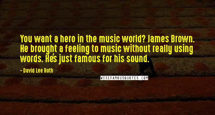 David Lee Roth Quotes: You want a hero in the music world? James Brown. He brought a feeling to music without really using words. He's just famous for his sound.