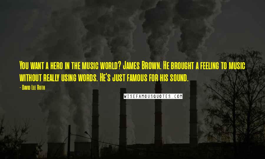 David Lee Roth Quotes: You want a hero in the music world? James Brown. He brought a feeling to music without really using words. He's just famous for his sound.