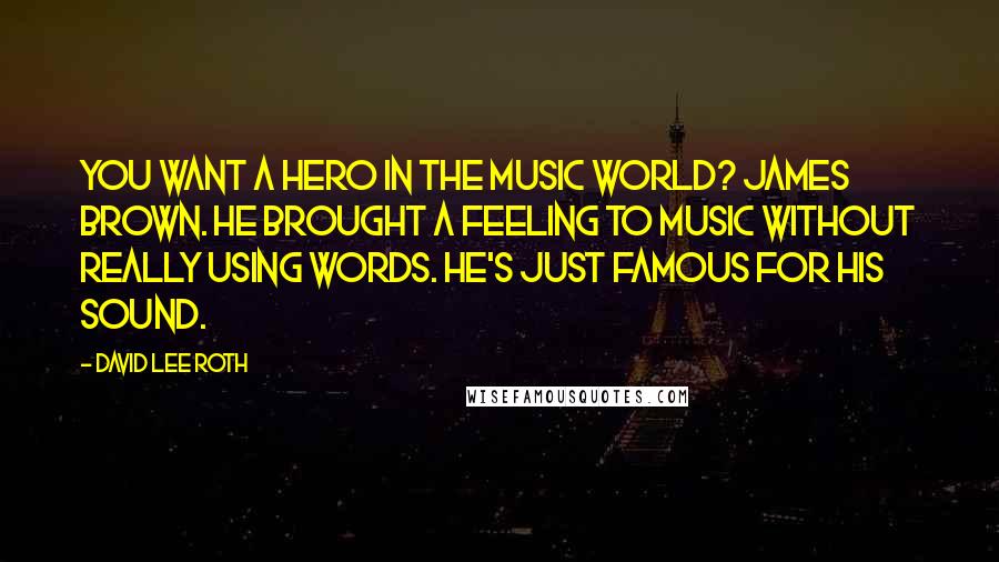 David Lee Roth Quotes: You want a hero in the music world? James Brown. He brought a feeling to music without really using words. He's just famous for his sound.