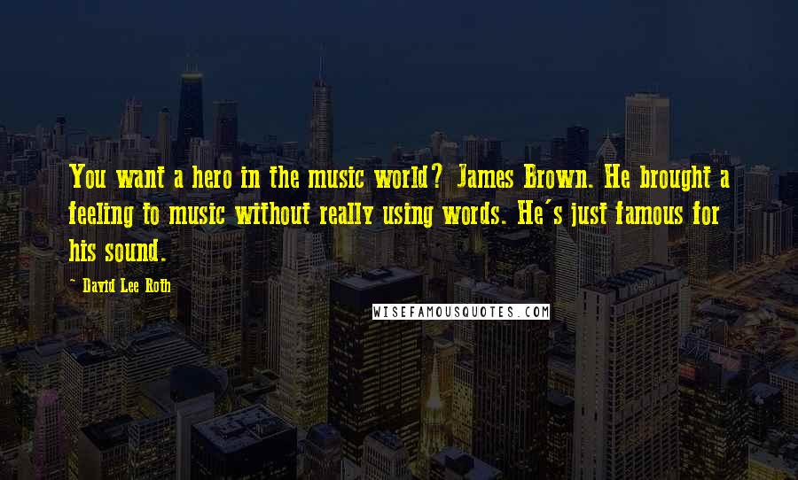 David Lee Roth Quotes: You want a hero in the music world? James Brown. He brought a feeling to music without really using words. He's just famous for his sound.