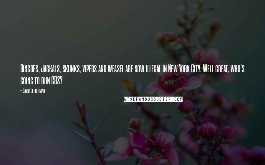 David Letterman Quotes: Dingoes, jackals, skunks, vipers and weasel are now illegal in New York City. Well great, who's going to run CBS?