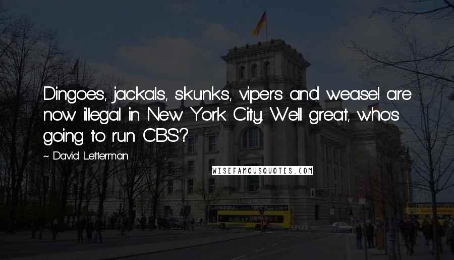 David Letterman Quotes: Dingoes, jackals, skunks, vipers and weasel are now illegal in New York City. Well great, who's going to run CBS?