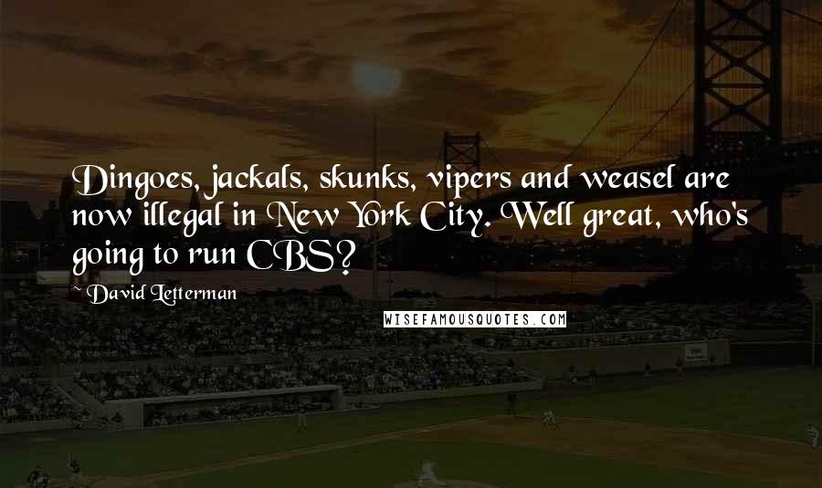 David Letterman Quotes: Dingoes, jackals, skunks, vipers and weasel are now illegal in New York City. Well great, who's going to run CBS?