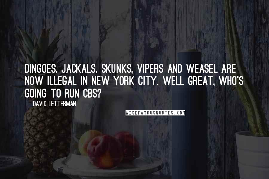 David Letterman Quotes: Dingoes, jackals, skunks, vipers and weasel are now illegal in New York City. Well great, who's going to run CBS?