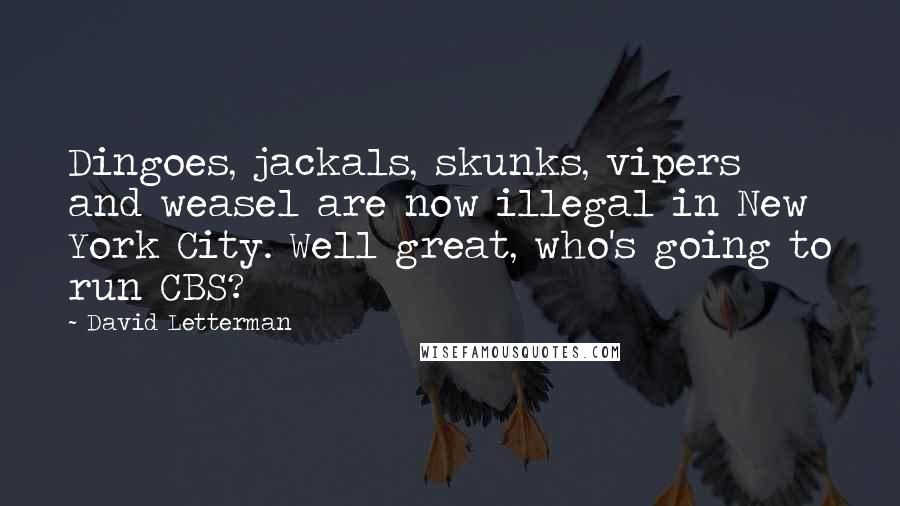 David Letterman Quotes: Dingoes, jackals, skunks, vipers and weasel are now illegal in New York City. Well great, who's going to run CBS?