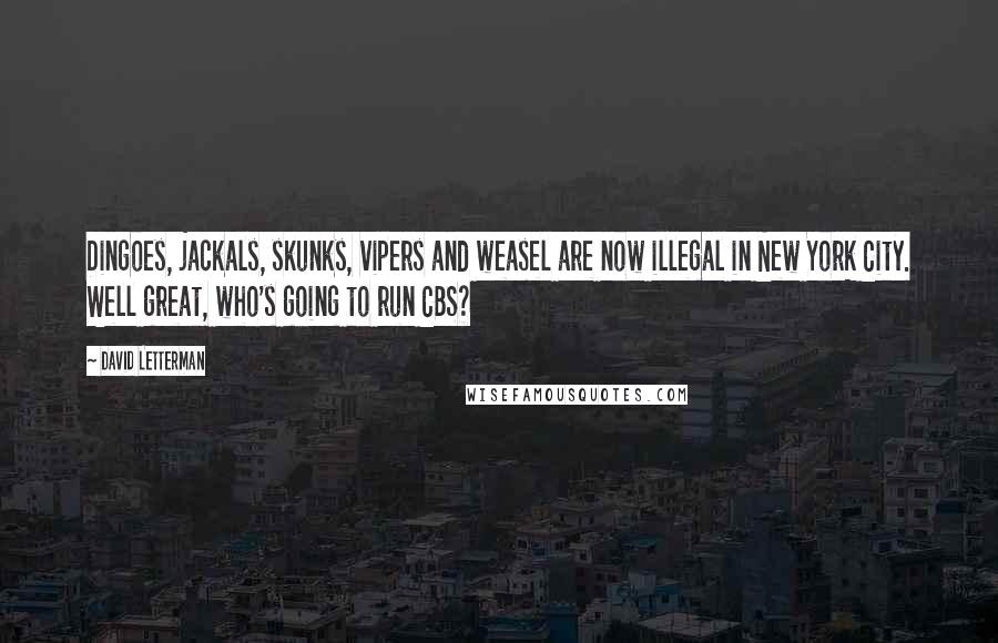 David Letterman Quotes: Dingoes, jackals, skunks, vipers and weasel are now illegal in New York City. Well great, who's going to run CBS?