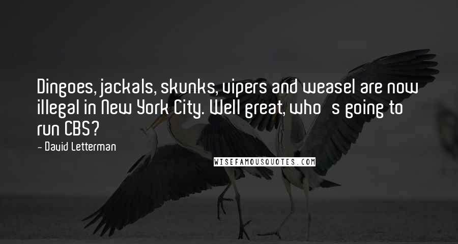 David Letterman Quotes: Dingoes, jackals, skunks, vipers and weasel are now illegal in New York City. Well great, who's going to run CBS?