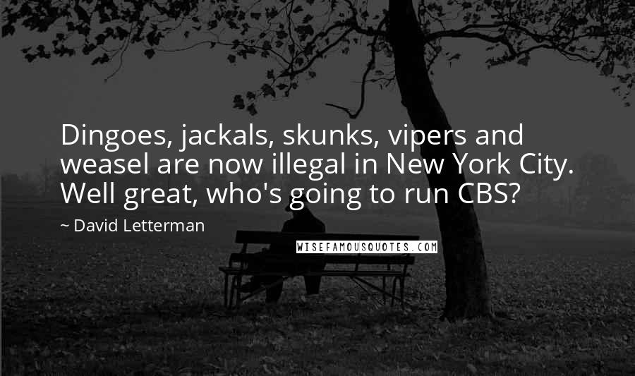 David Letterman Quotes: Dingoes, jackals, skunks, vipers and weasel are now illegal in New York City. Well great, who's going to run CBS?