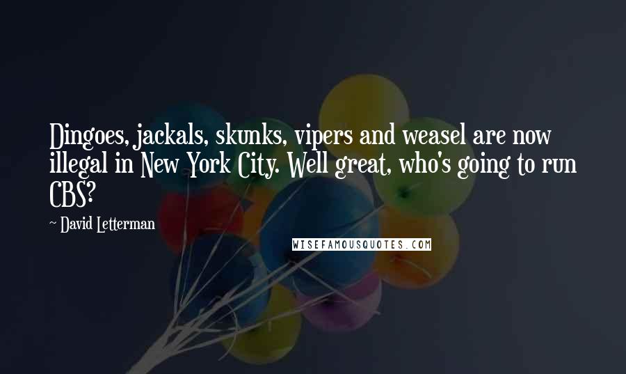 David Letterman Quotes: Dingoes, jackals, skunks, vipers and weasel are now illegal in New York City. Well great, who's going to run CBS?