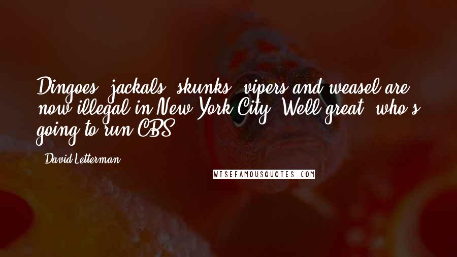 David Letterman Quotes: Dingoes, jackals, skunks, vipers and weasel are now illegal in New York City. Well great, who's going to run CBS?