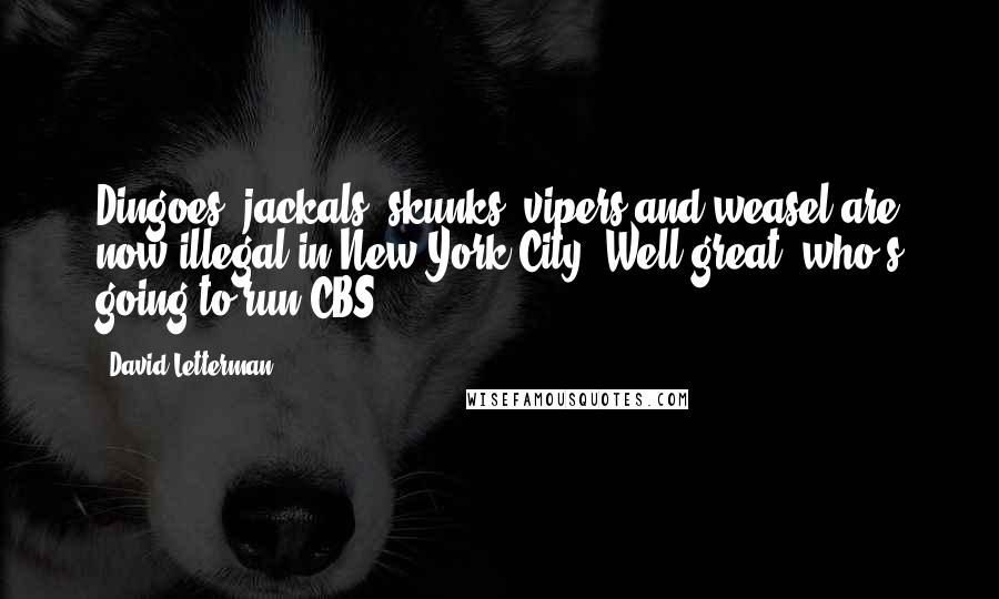 David Letterman Quotes: Dingoes, jackals, skunks, vipers and weasel are now illegal in New York City. Well great, who's going to run CBS?