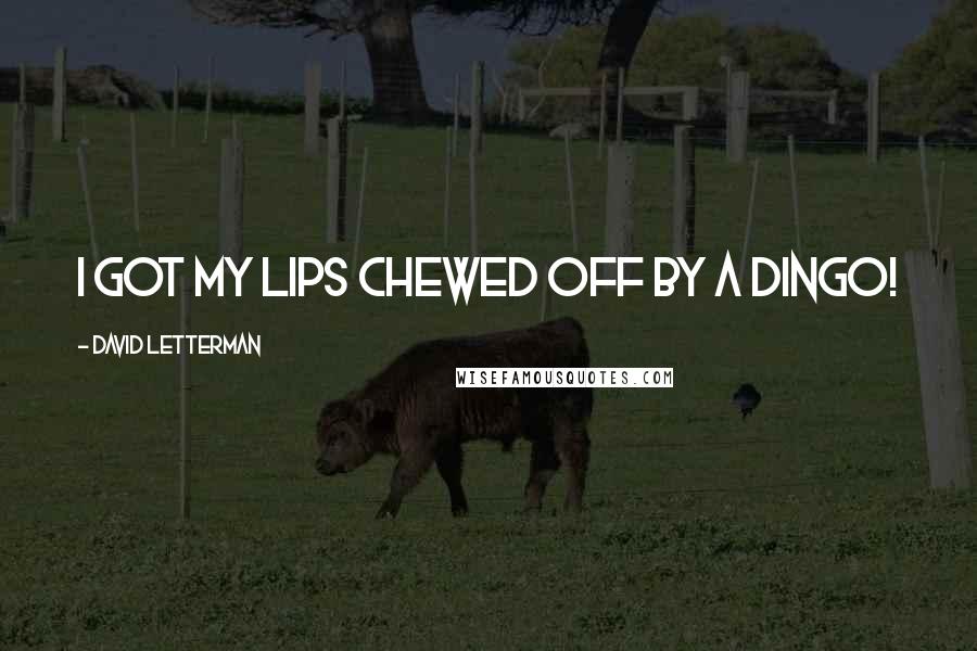 David Letterman Quotes: I got my lips chewed off by a dingo!