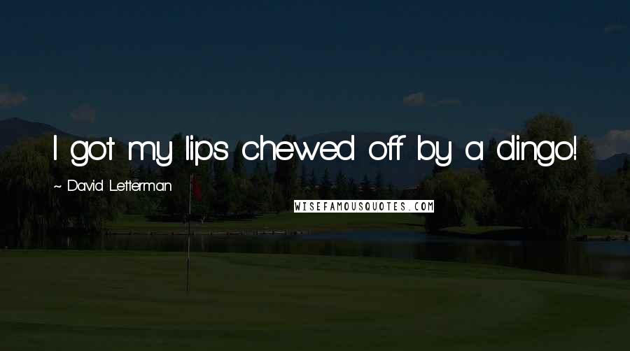 David Letterman Quotes: I got my lips chewed off by a dingo!