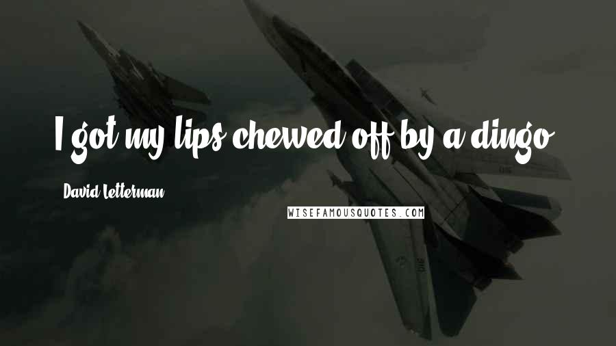 David Letterman Quotes: I got my lips chewed off by a dingo!