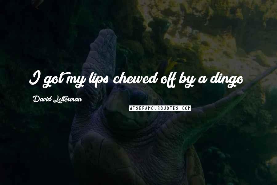 David Letterman Quotes: I got my lips chewed off by a dingo!