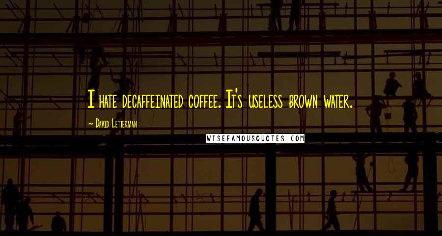 David Letterman Quotes: I hate decaffeinated coffee. It's useless brown water.