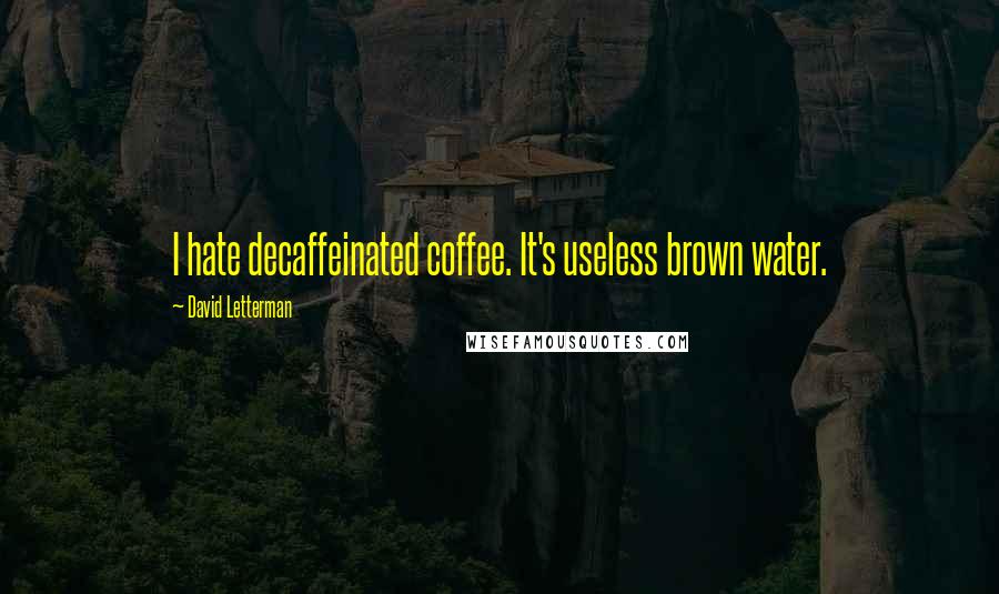 David Letterman Quotes: I hate decaffeinated coffee. It's useless brown water.