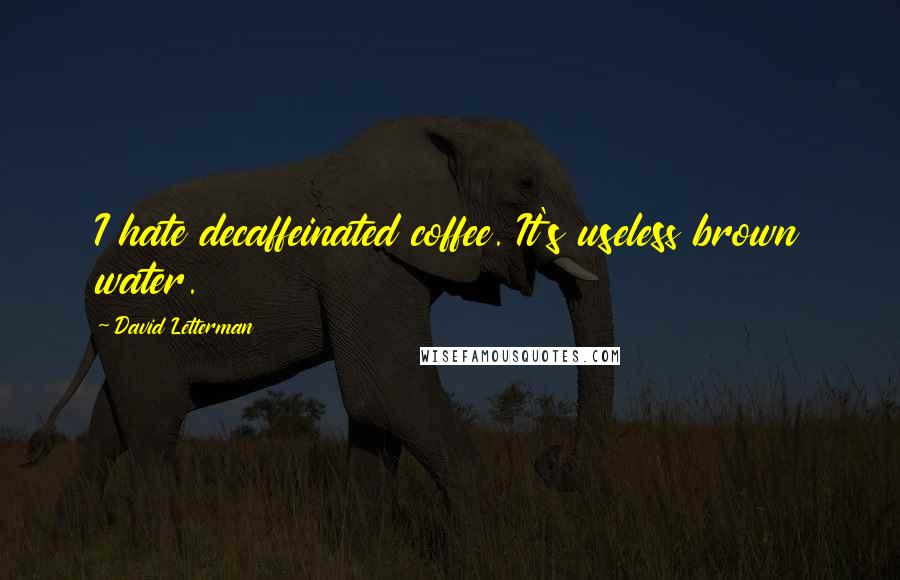 David Letterman Quotes: I hate decaffeinated coffee. It's useless brown water.